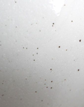 美濃焼のお洒落なカレーライス皿