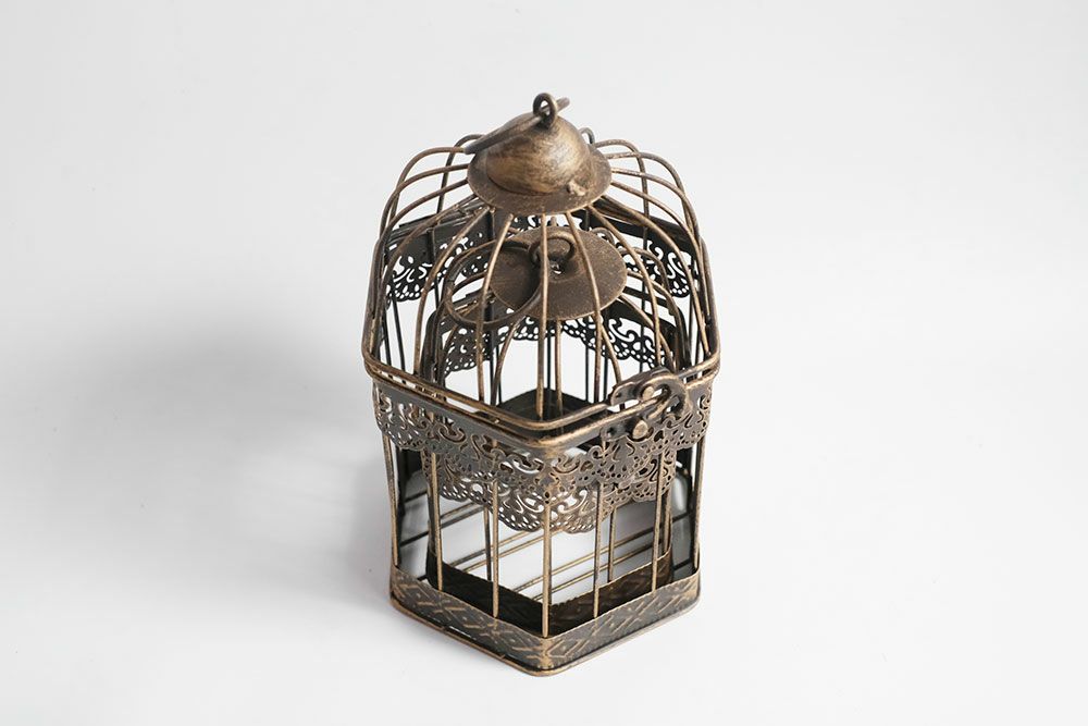 鳥かご　ディスプレイ