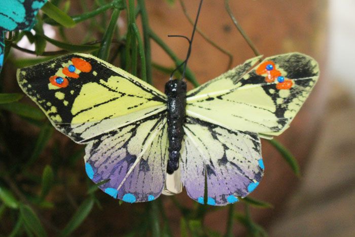 かわいいバタフライクリップ おしゃれなインテリア雑貨屋MALTO