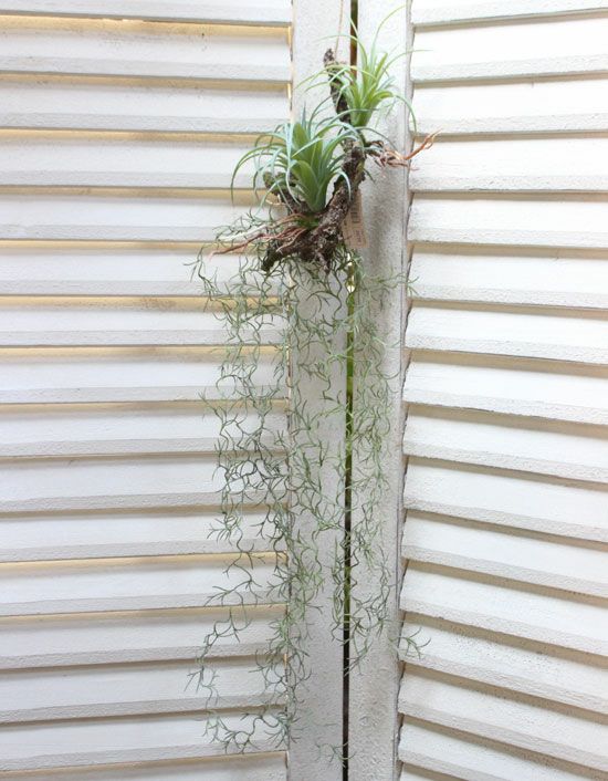 フェイクグリーン