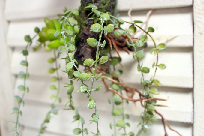 多肉植物の造花コケ