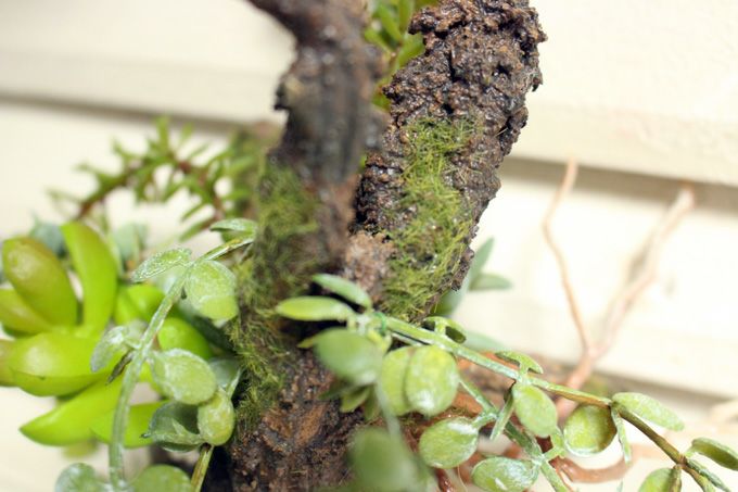 多肉植物の造花葉