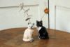 動物の一輪挿し猫