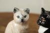 かわいい猫の一輪挿し顔