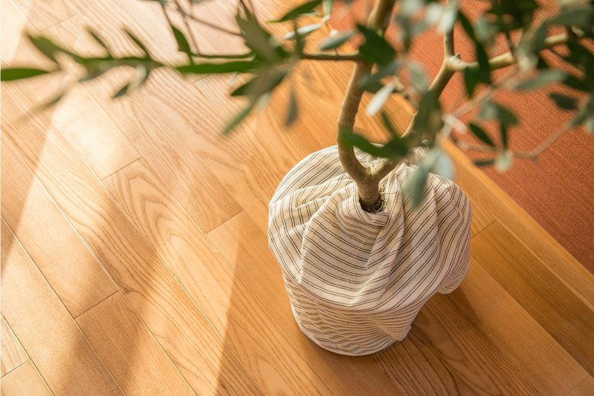 植木鉢をくるむコットンファブリック