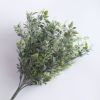 白い花のついた草