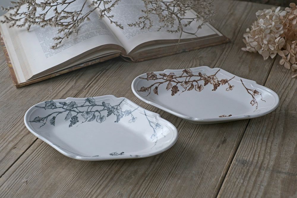 STUDIO M'(スタジオエム)/ヴィーニュプレートS 洋皿 ラヴィエ 磁器 瀬戸焼 電子レンジ食洗機対応