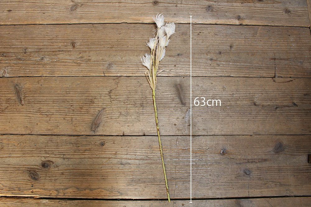 パンパスグラス造花