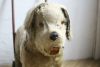 アンティーク犬の手押し車顔１