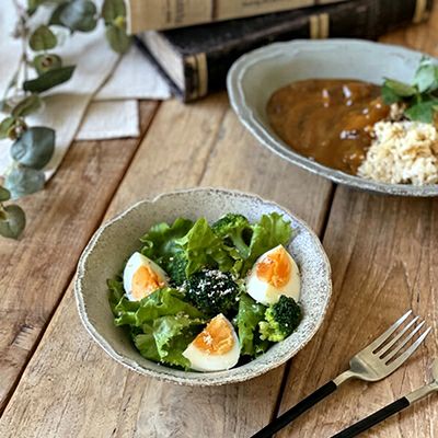 美濃焼 手付きパスタ皿 カレー、煮物やサラダなどに 食器 うつわ の通販 おしゃれな食器・キッチン雑貨店MALTO