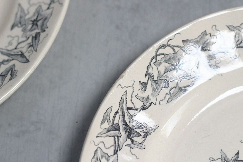 アンティーク皿 Longchamp(ロンシャン) ディナープレートフランス Liserons 昼顔 食器