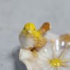 陶器のバードトレイ 花と小鳥 アクセサリー 収納