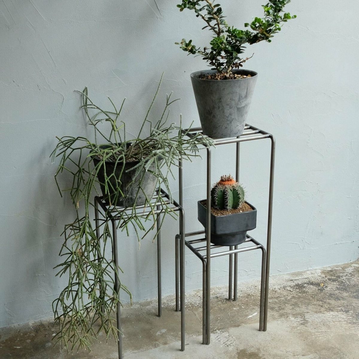 ノップ アイアンプラントスタンド 3個セット 花台 フラワースタンド