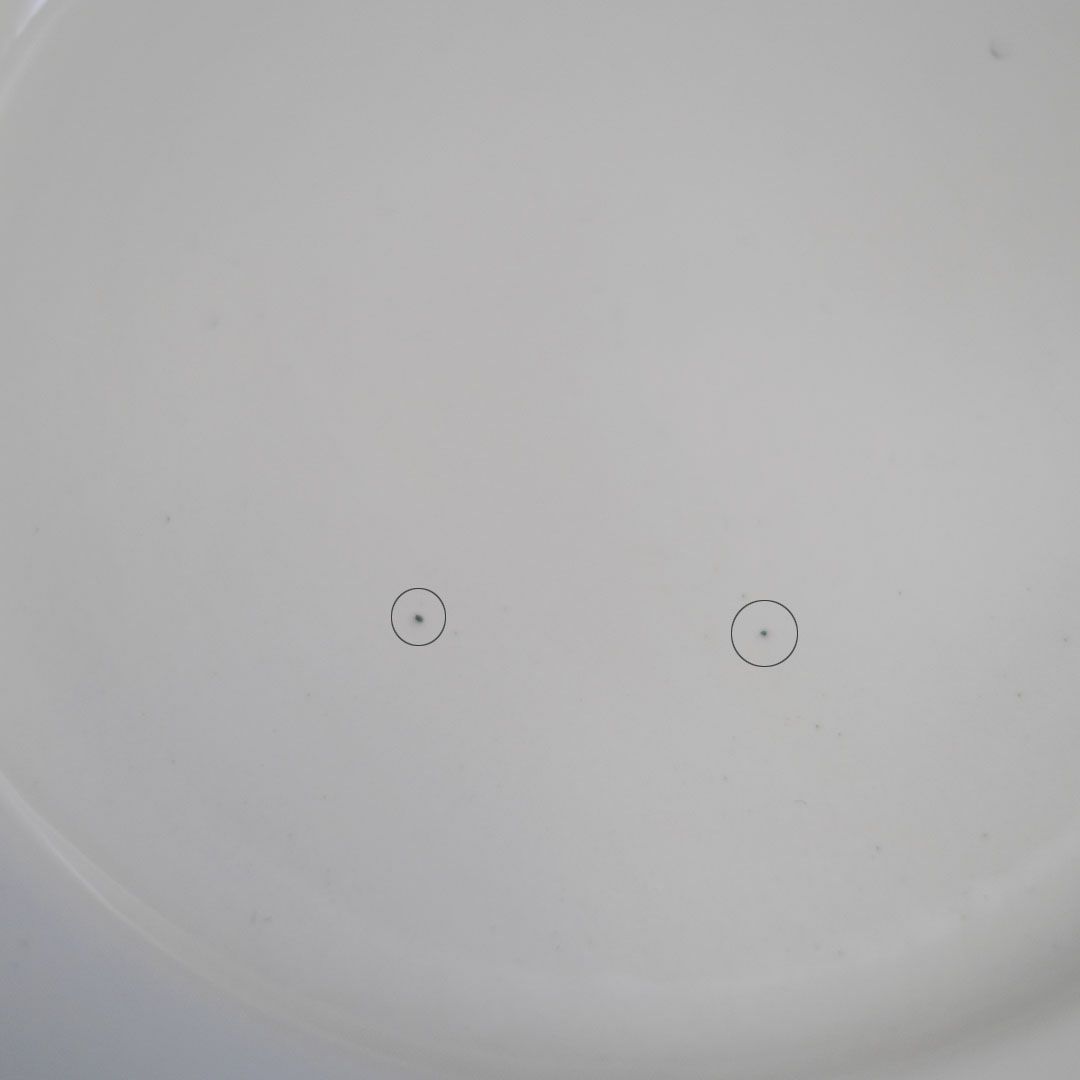 アンティーク皿 フラワーリムプレート 白 花リム皿6