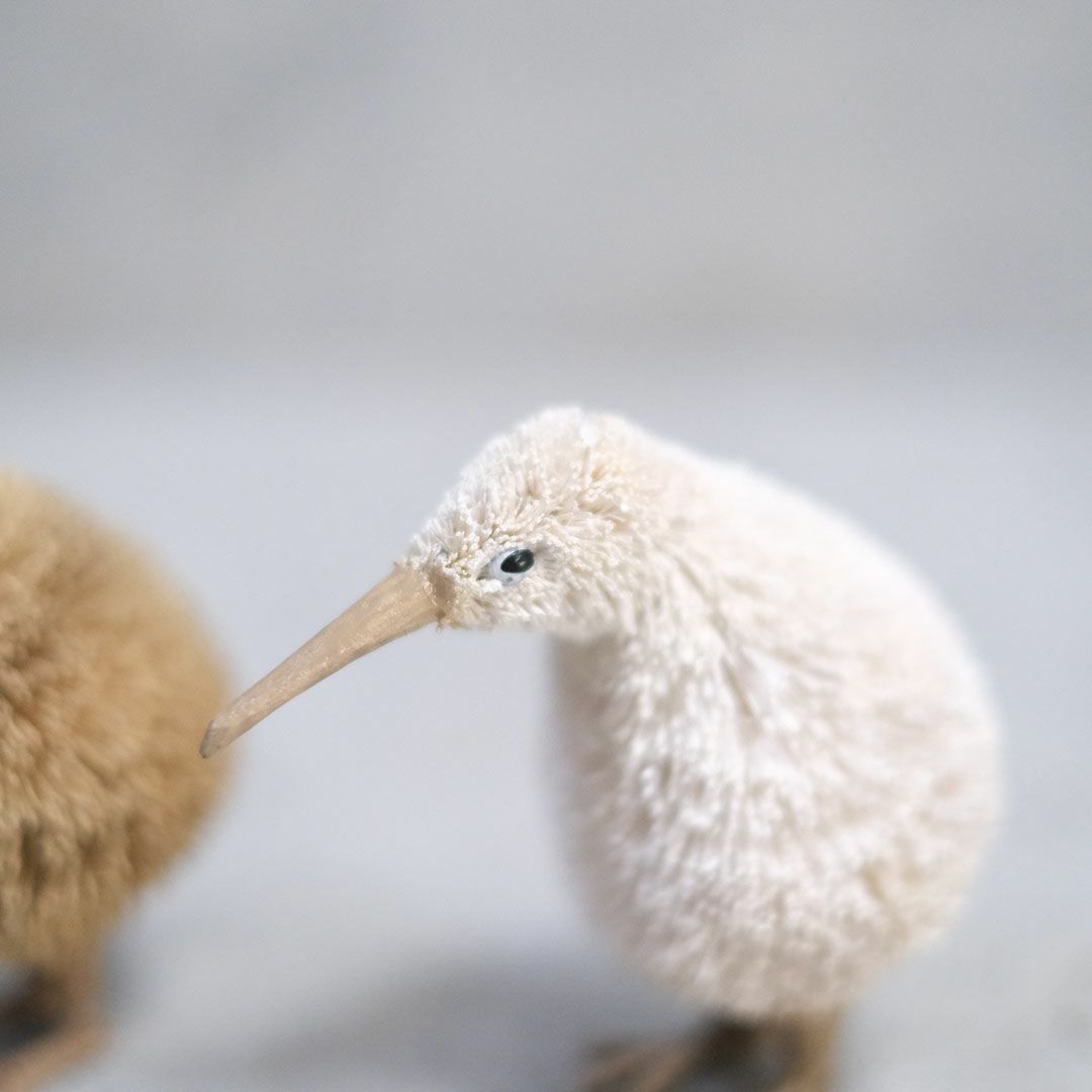 たわしアニマル キーウィ 動物雑貨