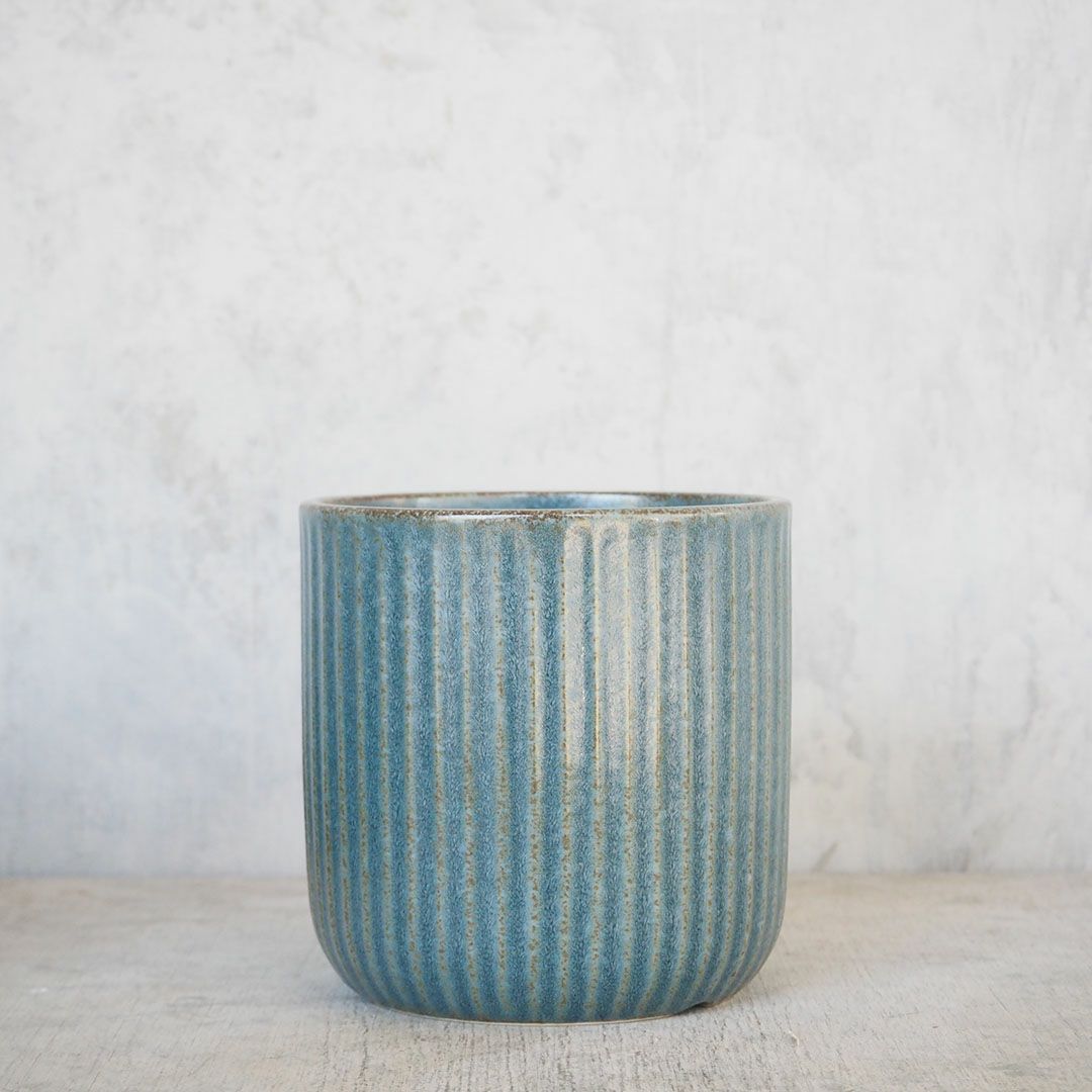 陶器のプランター シンプルなラインデザイン 鉢植え 青1