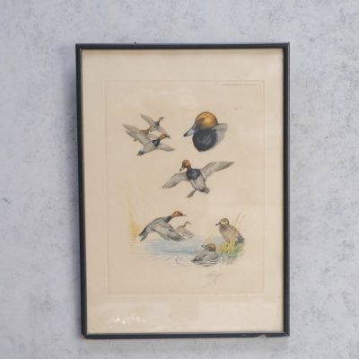 【引取限定】額　油彩　絵画　写真　展示　フレーム　古家具　古道具　アンティーク アンティーク絵画・フレーム・額縁(イギリス フランス)通販店