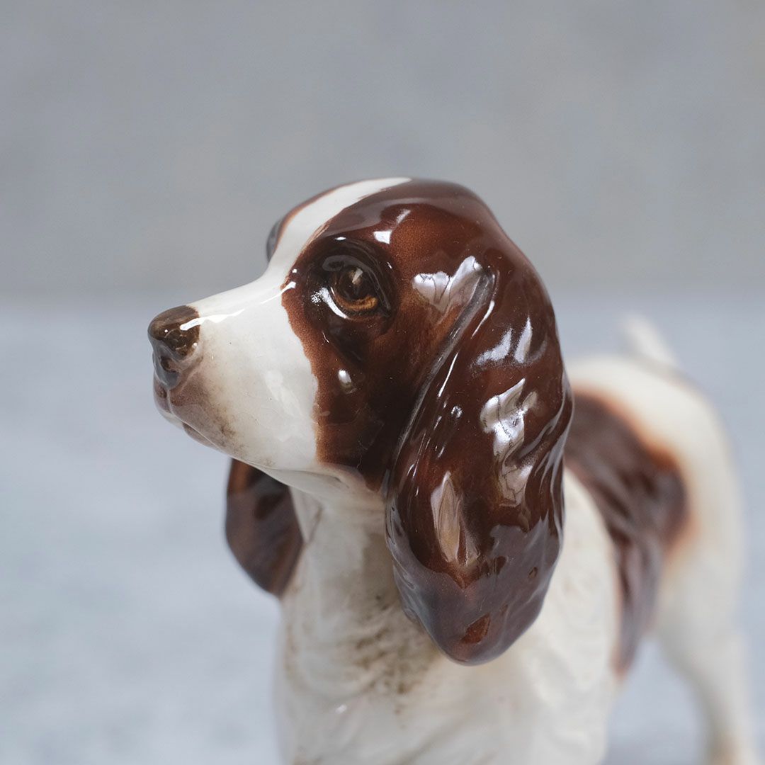 ヴィンテージオブジェ 犬の置物 陶器 イギリス6