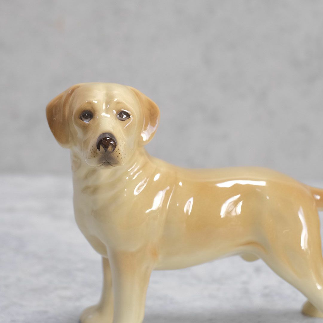 ヴィンテージ犬のフィギュリン 陶器人形 イギリス 置物5