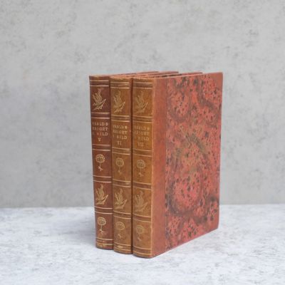 洋書　イタリア語　アンティークヴィンテージ Yahoo!オークション - アンティーク洋書4冊セット/洋書/ 古書