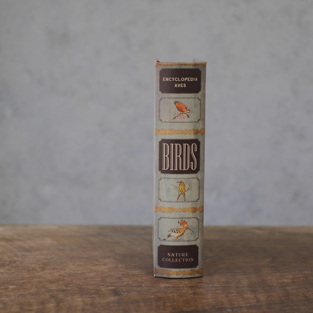 ブックボックス 鳥図鑑 アンティーク洋書風小物入れ2
