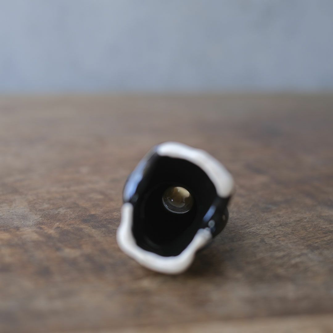 アンティーク ブラックバードパイファネル  陶器の鳥7