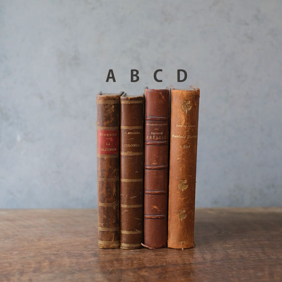 アンティークブックⅢ 革張りの古書 フランス2