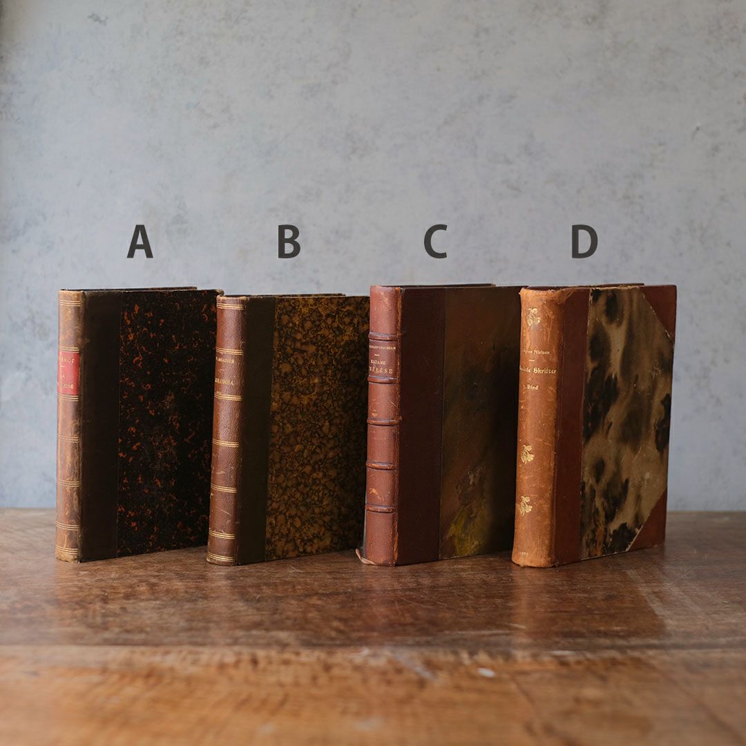 アンティークブックⅢ 革張りの古書 フランス3