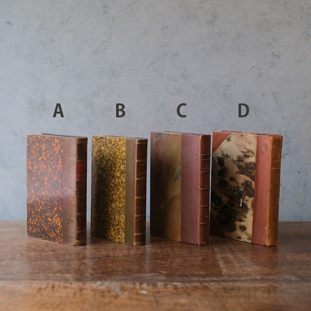 アンティークブックⅢ 革張りの古書 フランス4