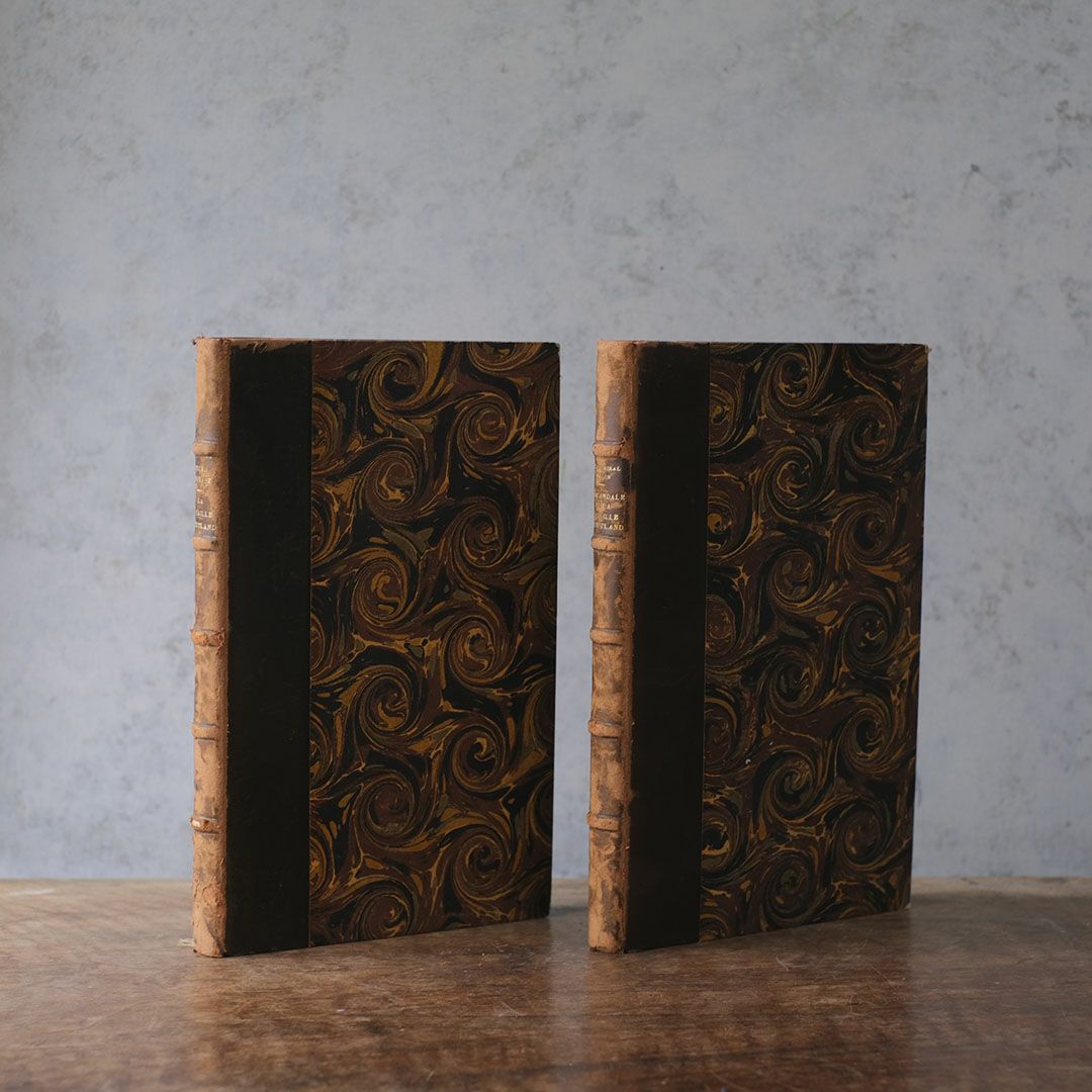 アンティークブック フランス 革張りの古書2