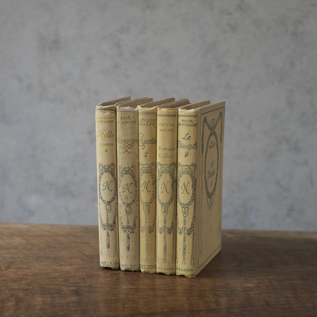 アンティークブック フランス 本 ネルソン nelson アソート