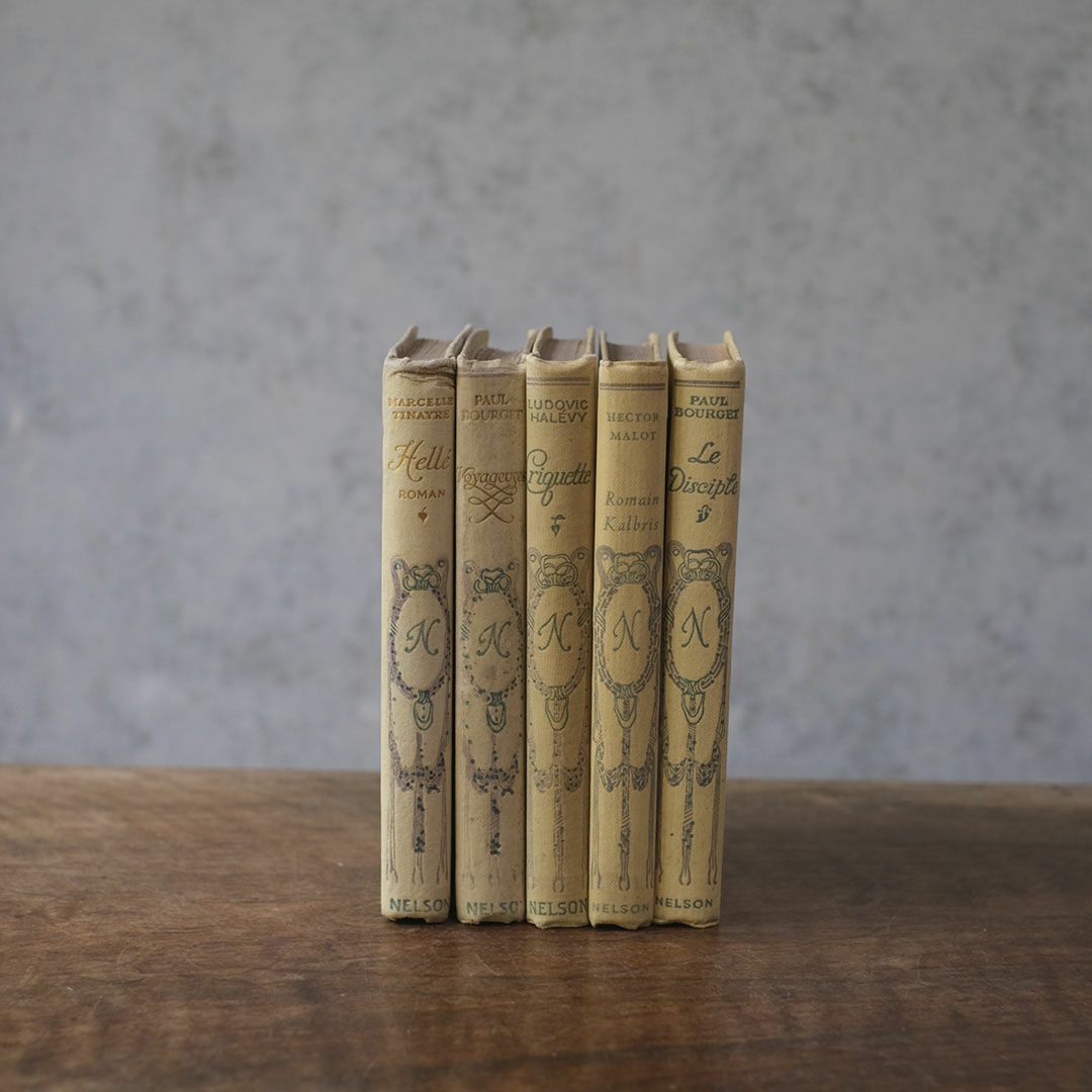 アンティークブック フランス 本 ネルソン nelson アソート1