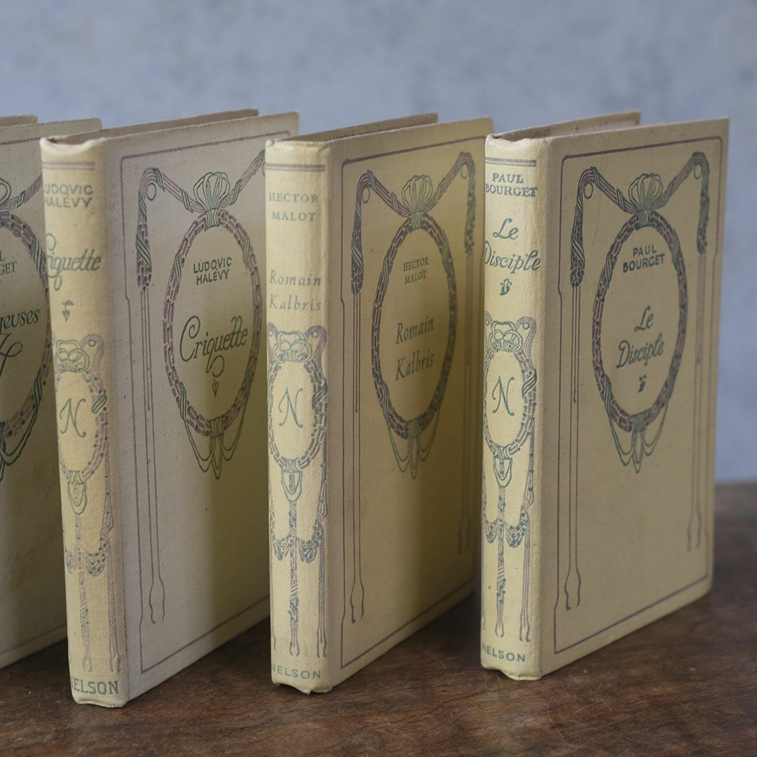 アンティークブック フランス 本 ネルソン nelson アソート6