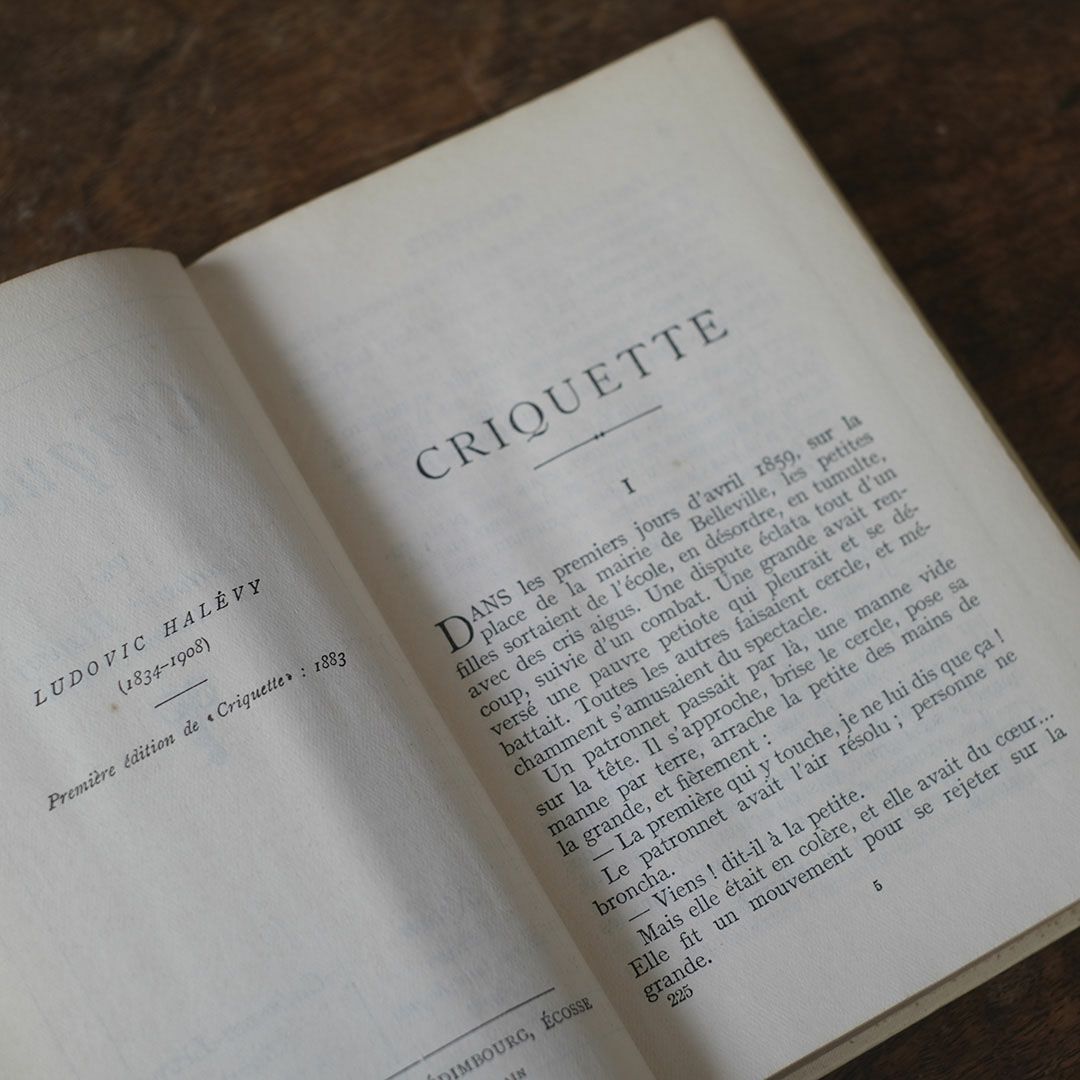 アンティークブック フランス 本 ネルソン nelson アソート8