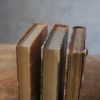 アンティークレザーブック 古書 フランス 革背表紙の本8