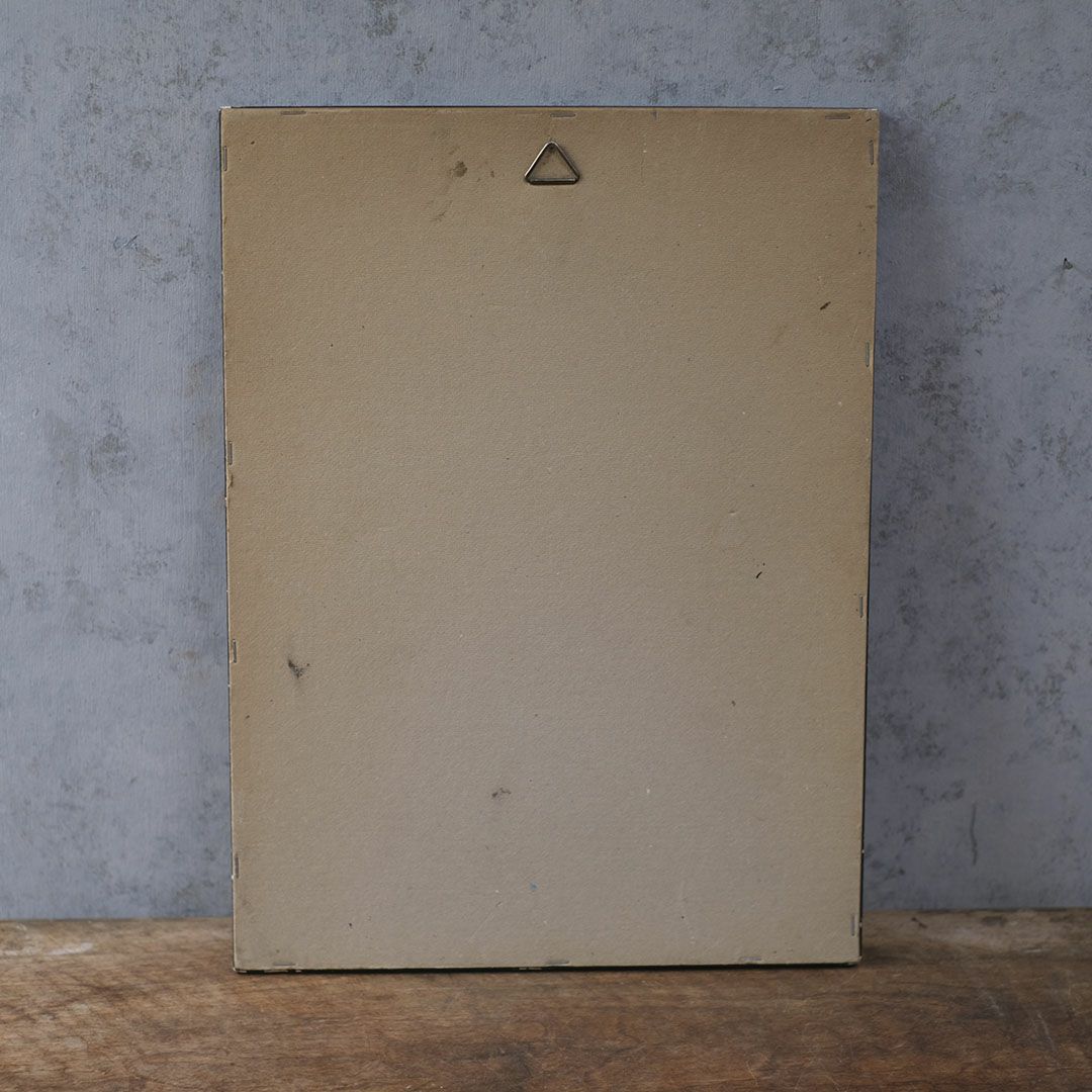 アンティーク リトグラフピクチャー ドレスを着た婦人 フランスのファッション画 石版画8