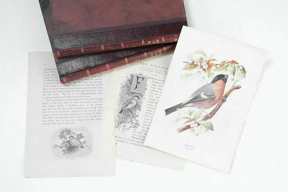 イギリスとフランスのアンティーク本の通販アンティークショップMALTO