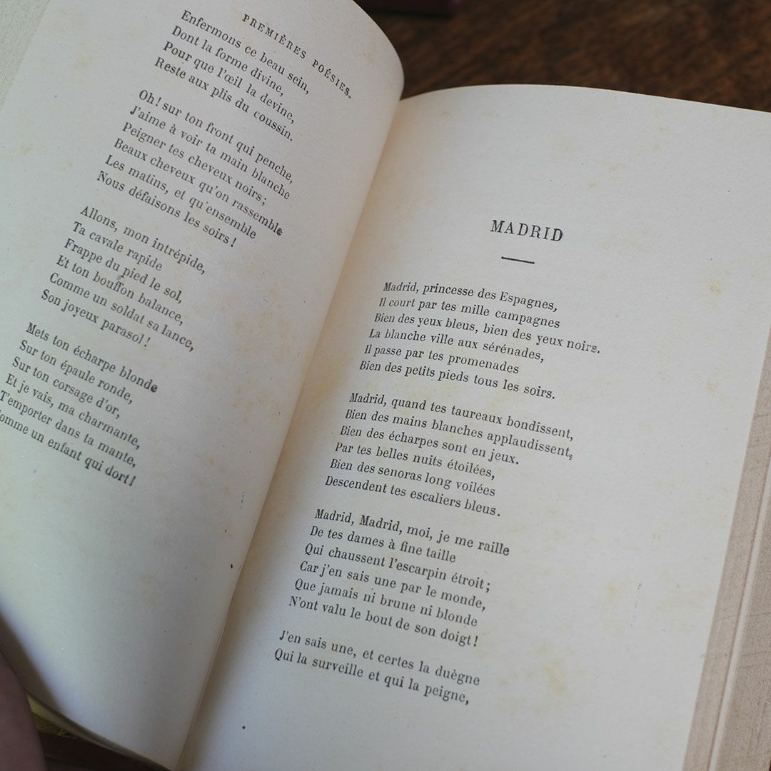 アンティークブック 革張りの古書 レザーブック ヨーロッパ6