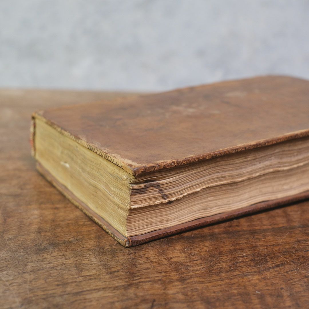 アンティークブック フランス レザーブック 革張りの古書4