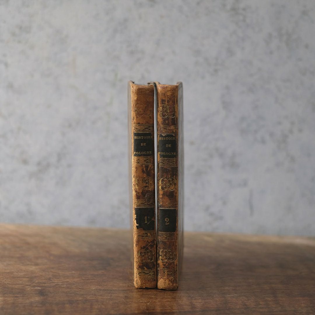 アンティークレザーブック 古書 フランス 革背表紙の本1