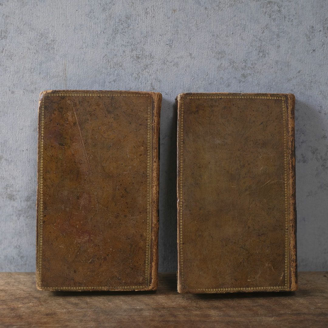 アンティークレザーブック 古書 フランス 革背表紙の本2