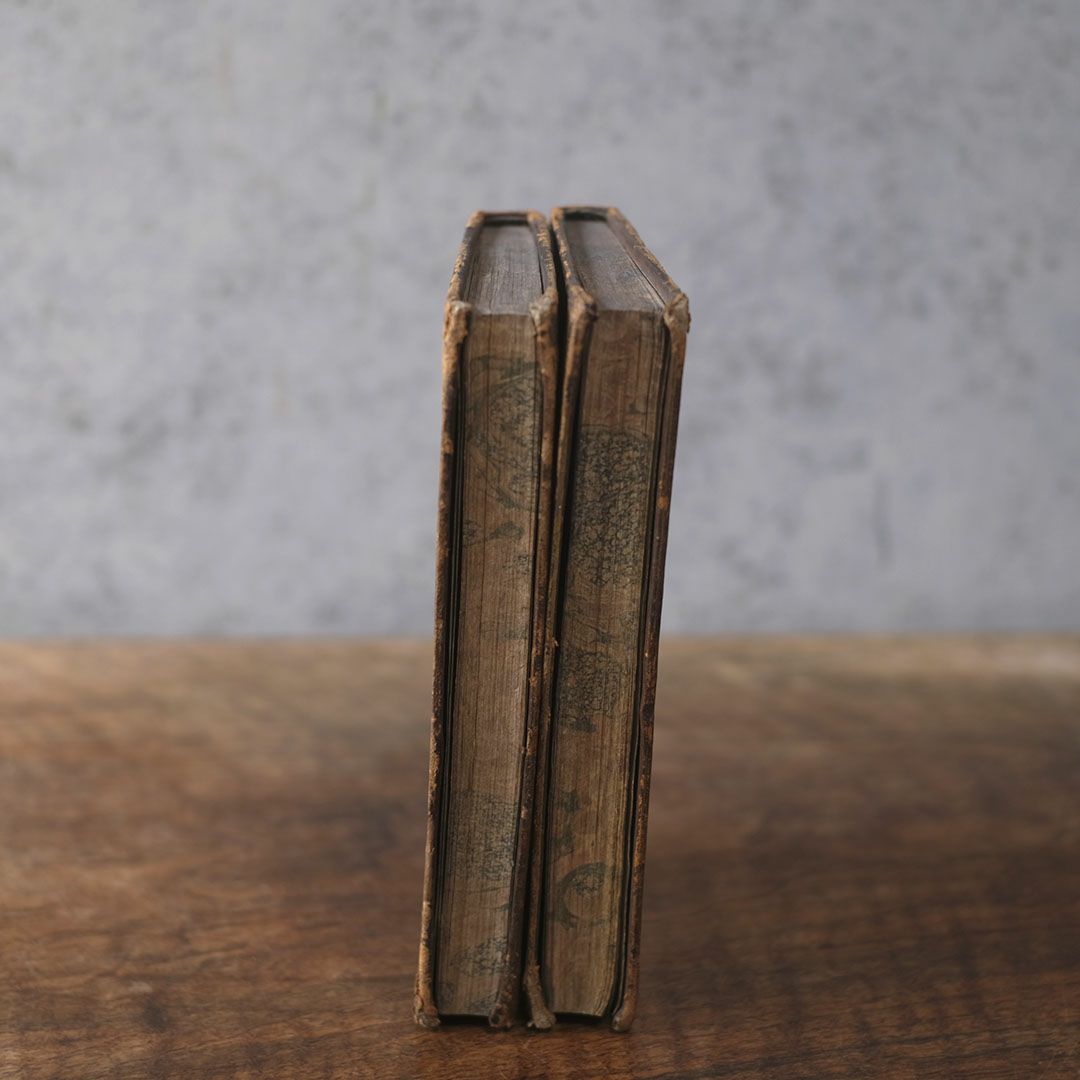 アンティークレザーブック 古書 フランス 革背表紙の本3