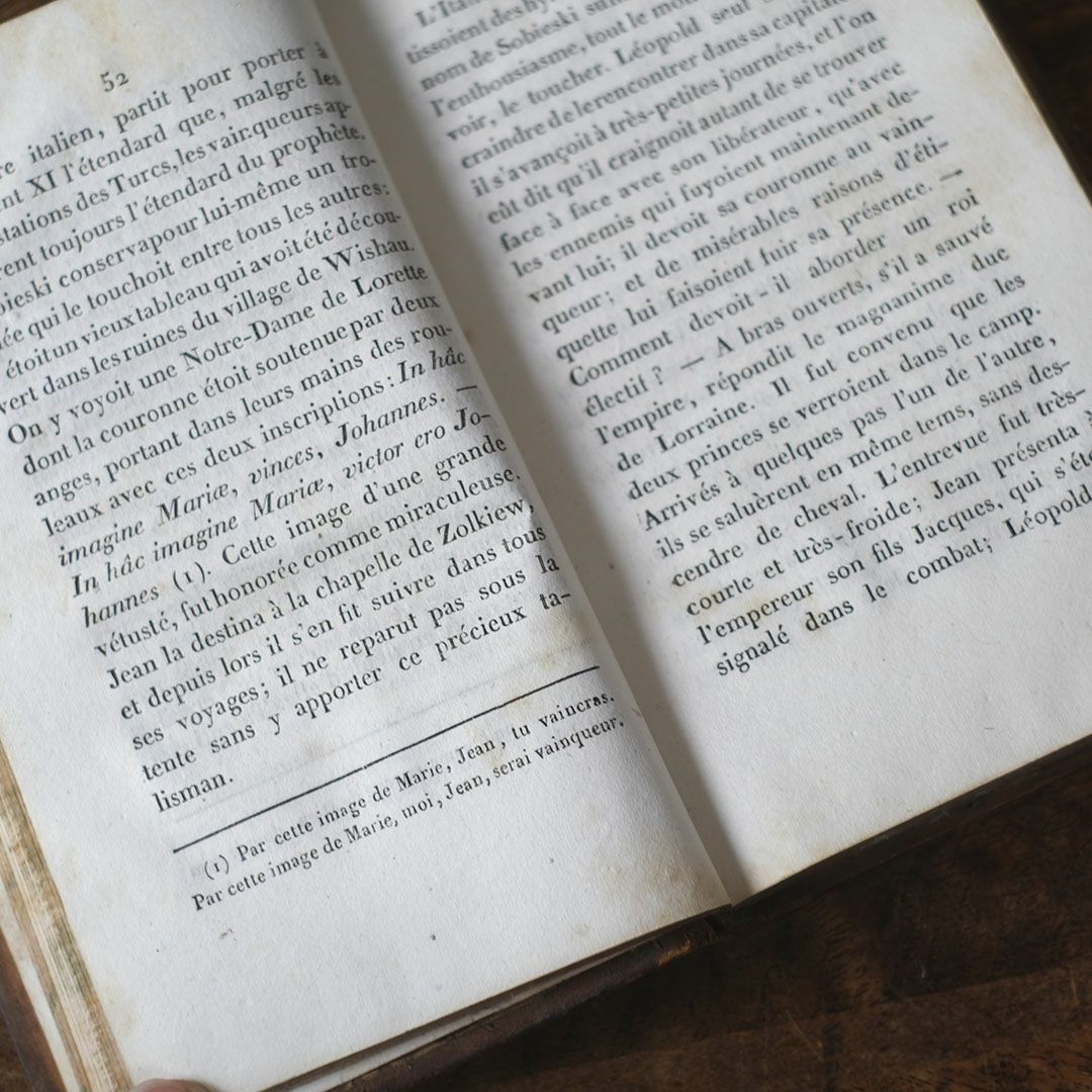 アンティークレザーブック 古書 フランス 革背表紙6本