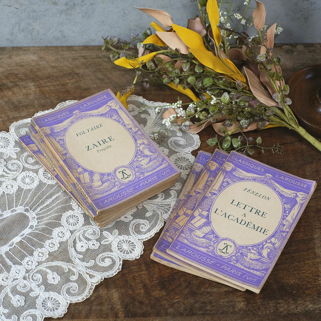 アンティークブック 挿絵付き フランス 本