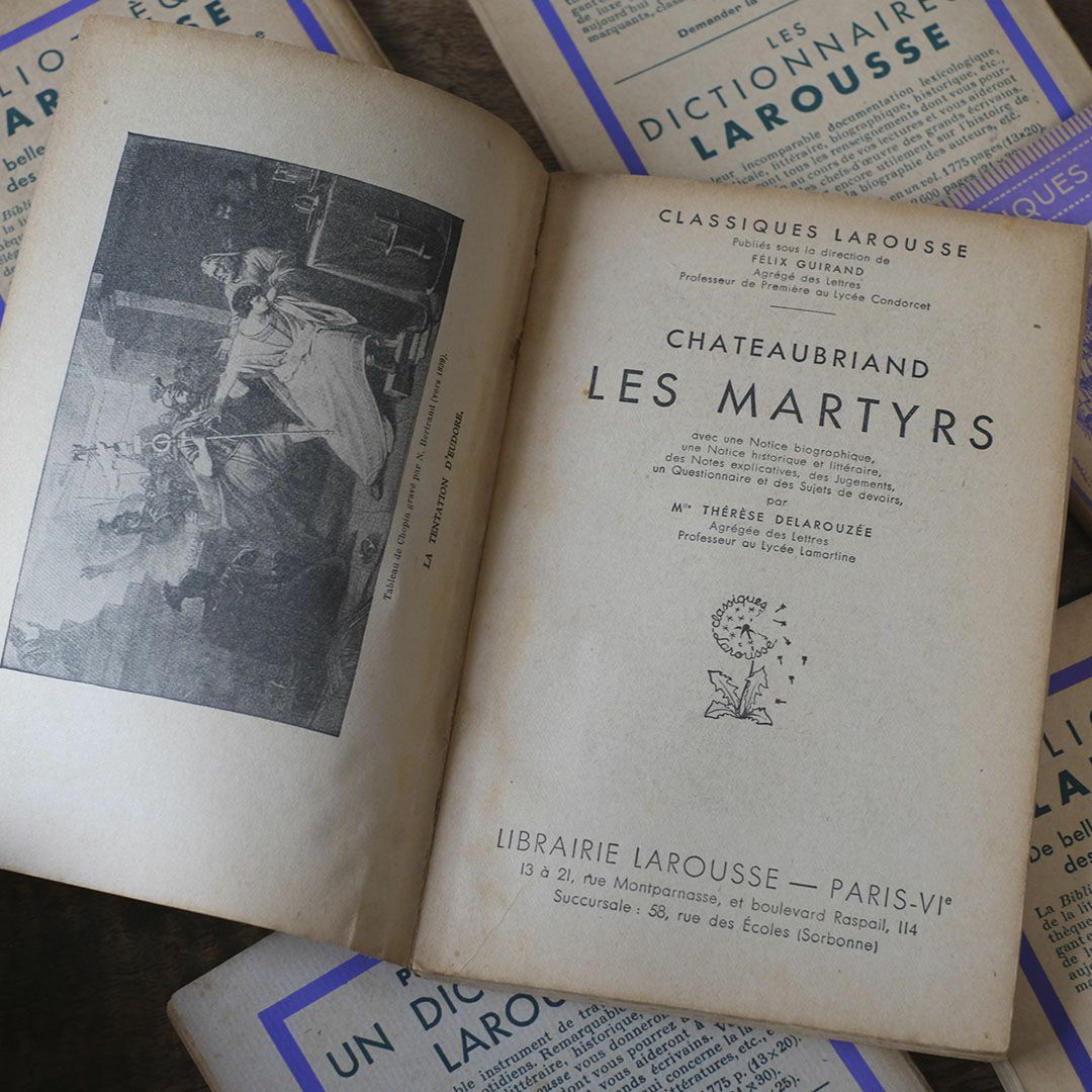 アンティークブック 挿絵付き フランス 本2