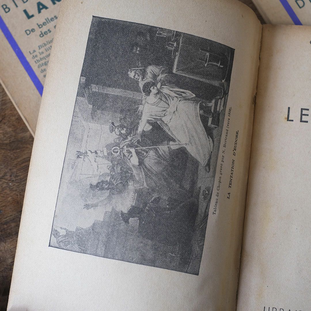 アンティークブック 挿絵付き フランス 本4