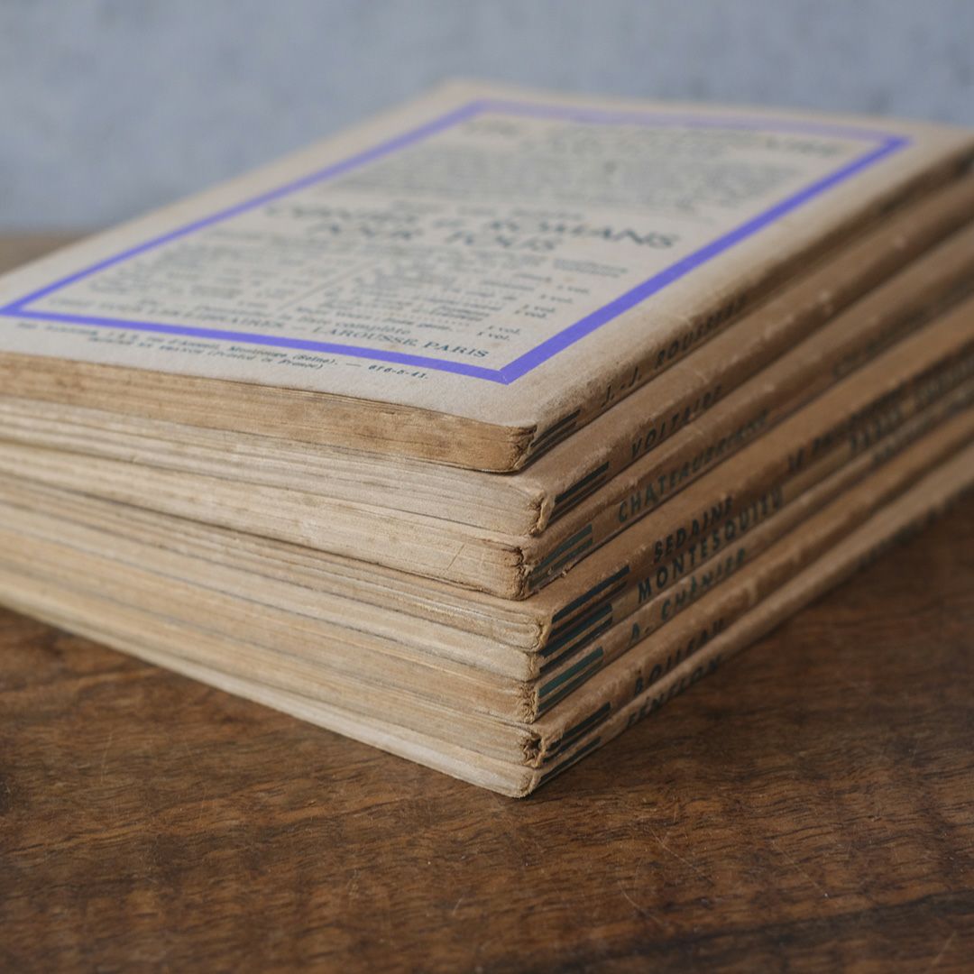 アンティークブック 挿絵付き フランス 本9