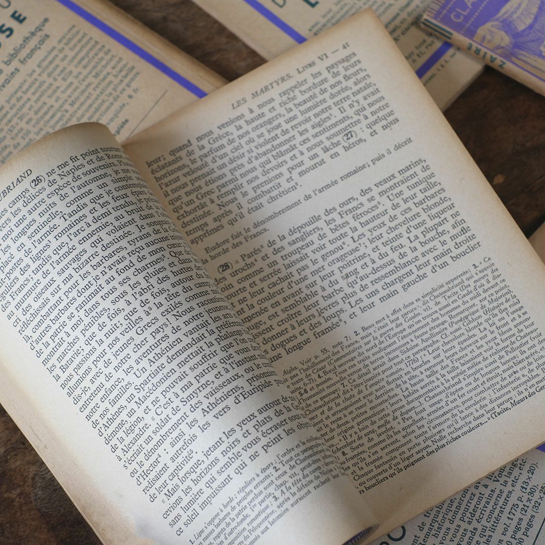 アンティークブック 挿絵付き フランス 本10