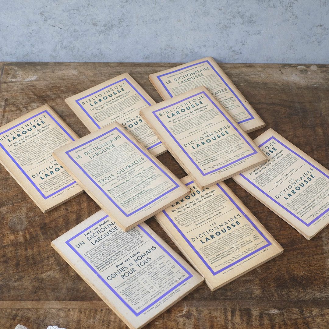 アンティークブック 挿絵付き フランス 本11