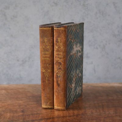 プギンストゥループリンシプルポインテッドアーキテクチャ　洋書　古書　アンティーク プギンストゥループリンシプルポインテッドアーキテクチャ 洋書